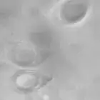 Spore image mushroom spore image