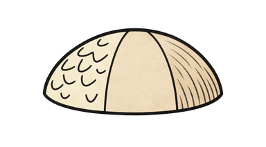 Felület