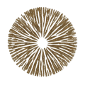brown mushroom spore color
