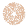 Sporenfarbe