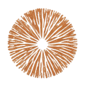 rostbraun Sporenfarbe