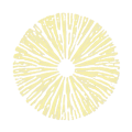gelb Sporenfarbe