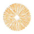 gelblichorange Sporenfarbe