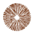 rötlichbraun Sporenfarbe